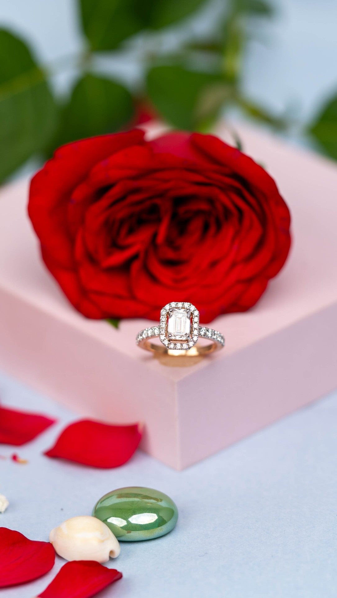 rings_6