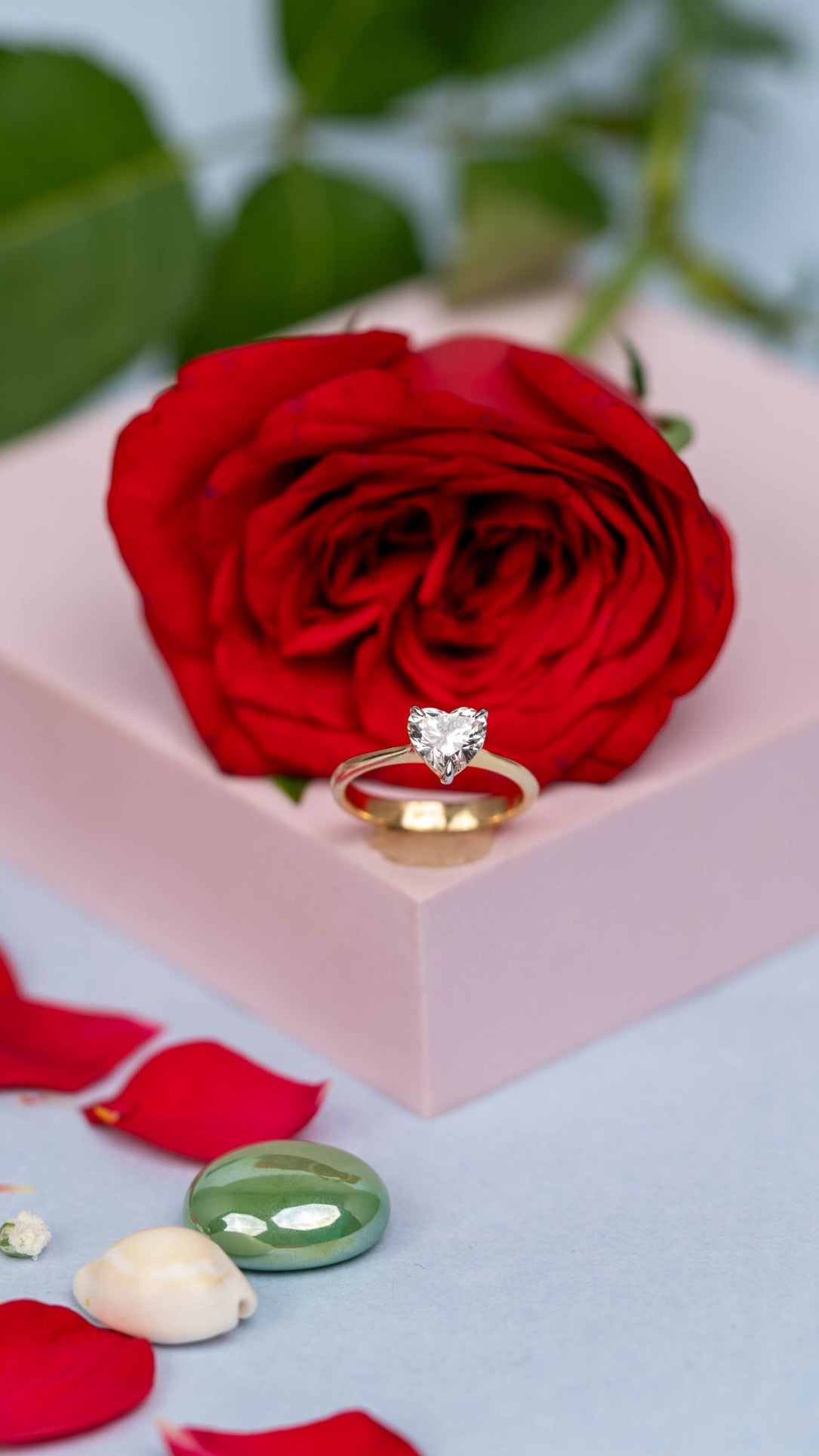rings1